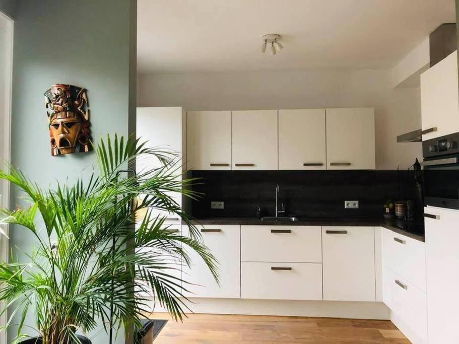 Compleet Huis In Nijmegen Appartement Buitenkant foto